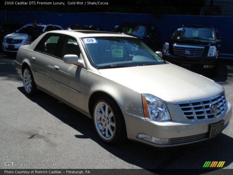 Gold Mist / Shale/Cocoa 2009 Cadillac DTS Premium Luxury