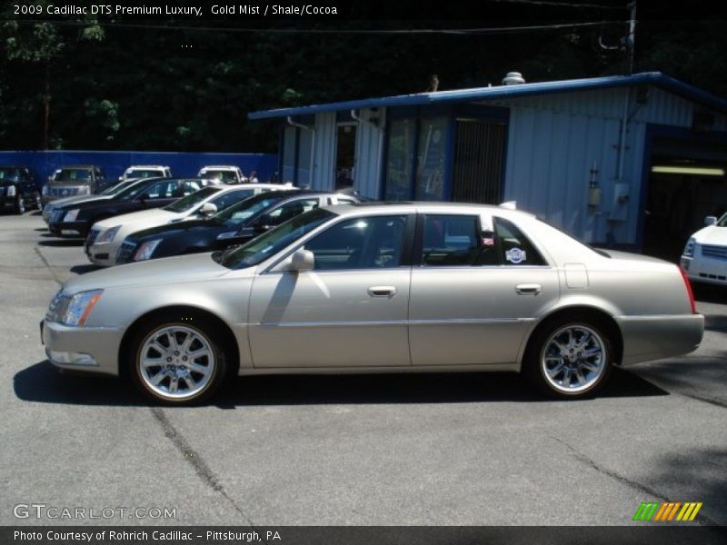 Gold Mist / Shale/Cocoa 2009 Cadillac DTS Premium Luxury