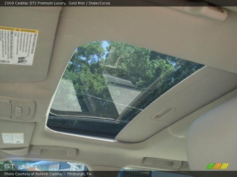 Gold Mist / Shale/Cocoa 2009 Cadillac DTS Premium Luxury