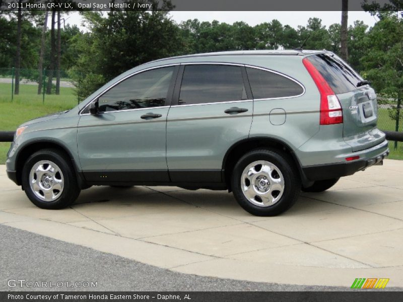 Opal Sage Metallic / Ivory 2011 Honda CR-V LX