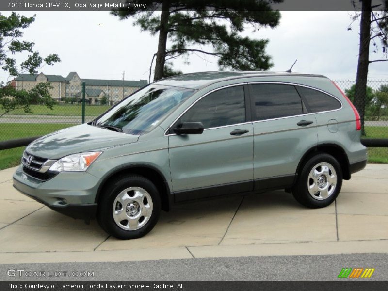 Opal Sage Metallic / Ivory 2011 Honda CR-V LX