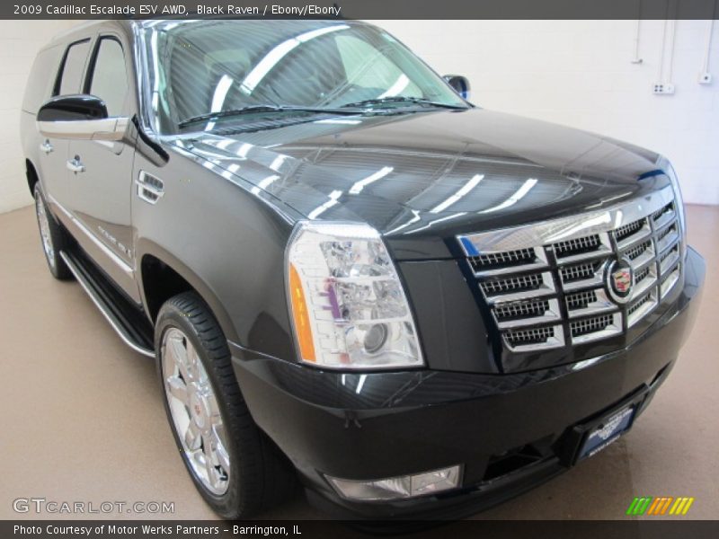 Black Raven / Ebony/Ebony 2009 Cadillac Escalade ESV AWD