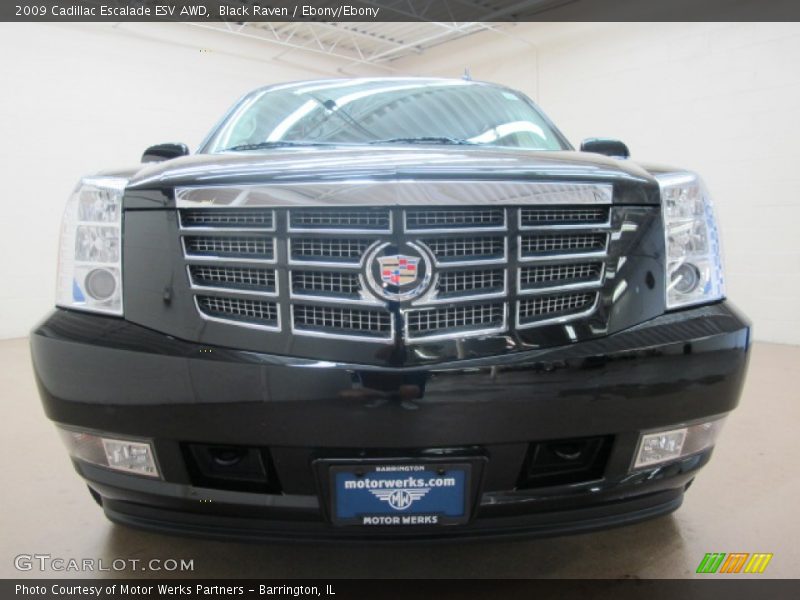 Black Raven / Ebony/Ebony 2009 Cadillac Escalade ESV AWD