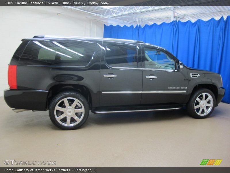 Black Raven / Ebony/Ebony 2009 Cadillac Escalade ESV AWD