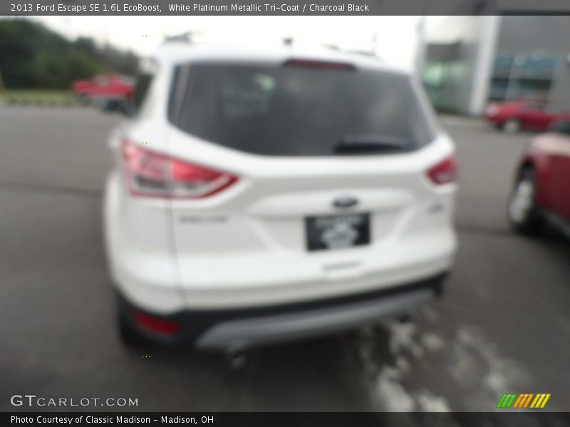 White Platinum Metallic Tri-Coat / Charcoal Black 2013 Ford Escape SE 1.6L EcoBoost