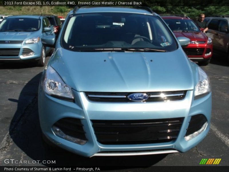  2013 Escape SEL 1.6L EcoBoost 4WD Frosted Glass Metallic