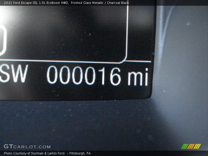 Frosted Glass Metallic / Charcoal Black 2013 Ford Escape SEL 1.6L EcoBoost 4WD