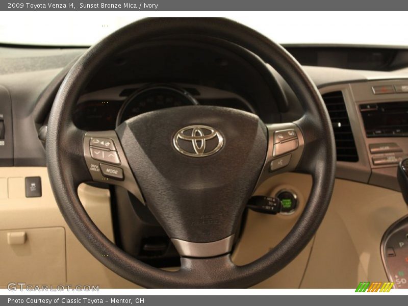 Sunset Bronze Mica / Ivory 2009 Toyota Venza I4