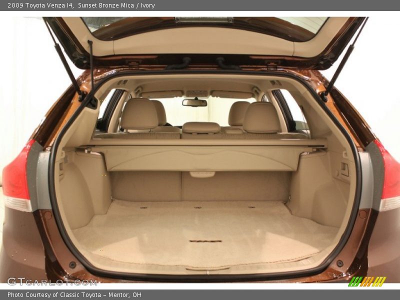 Sunset Bronze Mica / Ivory 2009 Toyota Venza I4
