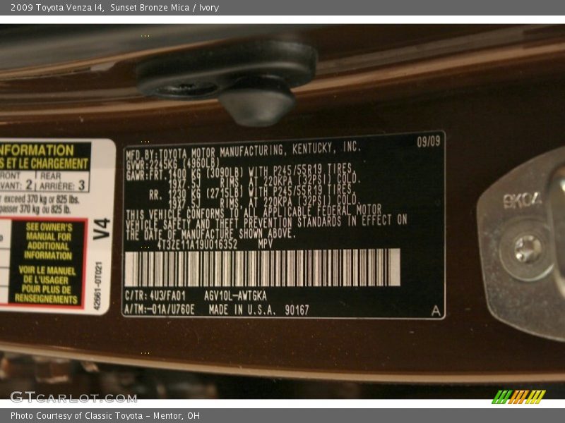 Sunset Bronze Mica / Ivory 2009 Toyota Venza I4