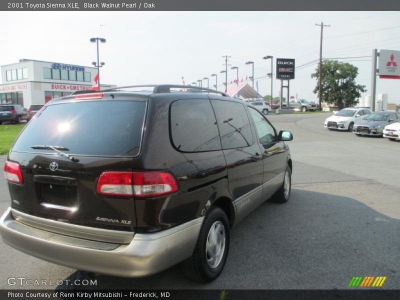 Black Walnut Pearl / Oak 2001 Toyota Sienna XLE