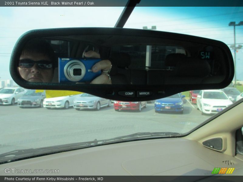 Black Walnut Pearl / Oak 2001 Toyota Sienna XLE