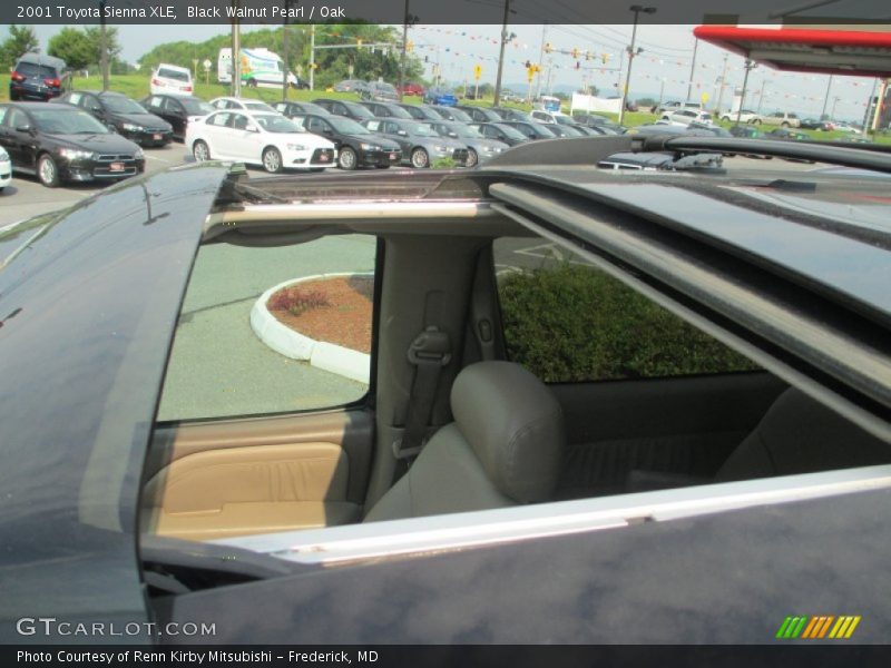 Black Walnut Pearl / Oak 2001 Toyota Sienna XLE