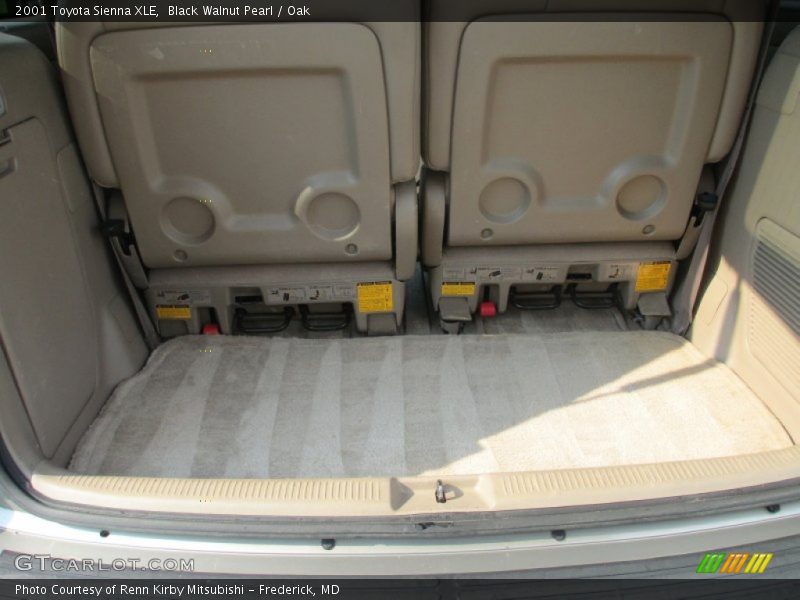 Black Walnut Pearl / Oak 2001 Toyota Sienna XLE