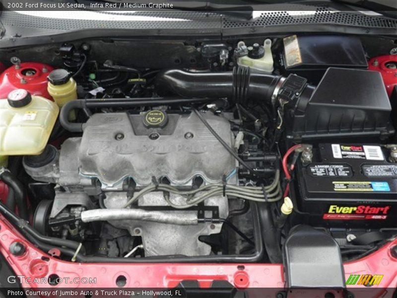 Infra Red / Medium Graphite 2002 Ford Focus LX Sedan