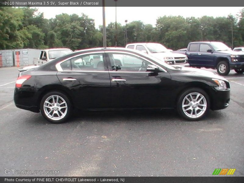 Super Black / Charcoal 2010 Nissan Maxima 3.5 SV