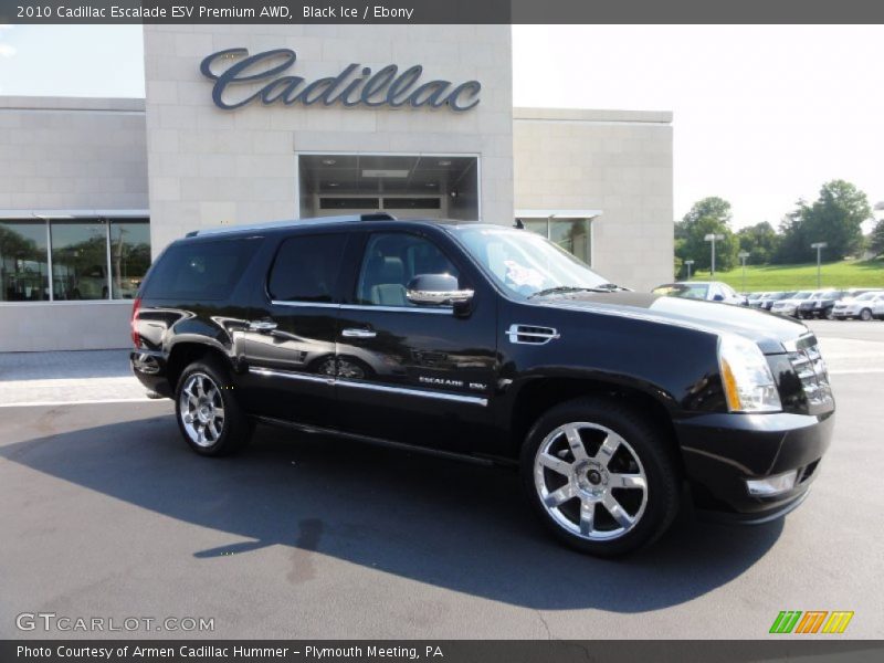 Black Ice / Ebony 2010 Cadillac Escalade ESV Premium AWD