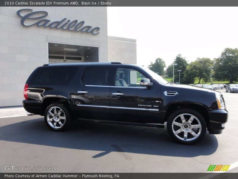 Black Ice / Ebony 2010 Cadillac Escalade ESV Premium AWD