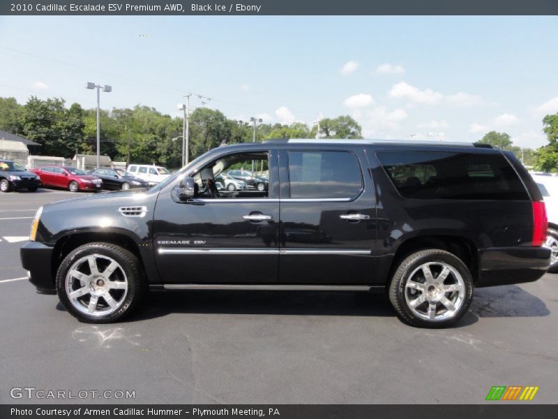 Black Ice / Ebony 2010 Cadillac Escalade ESV Premium AWD