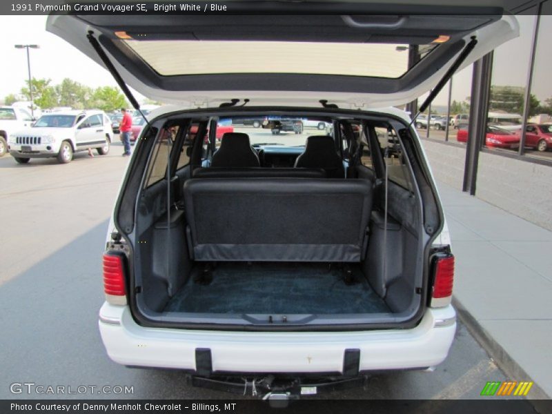 Bright White / Blue 1991 Plymouth Grand Voyager SE