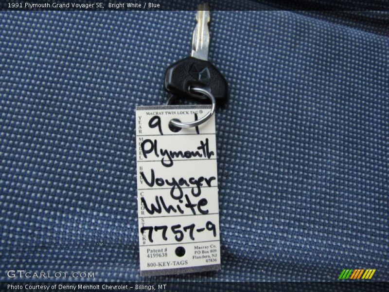 Bright White / Blue 1991 Plymouth Grand Voyager SE
