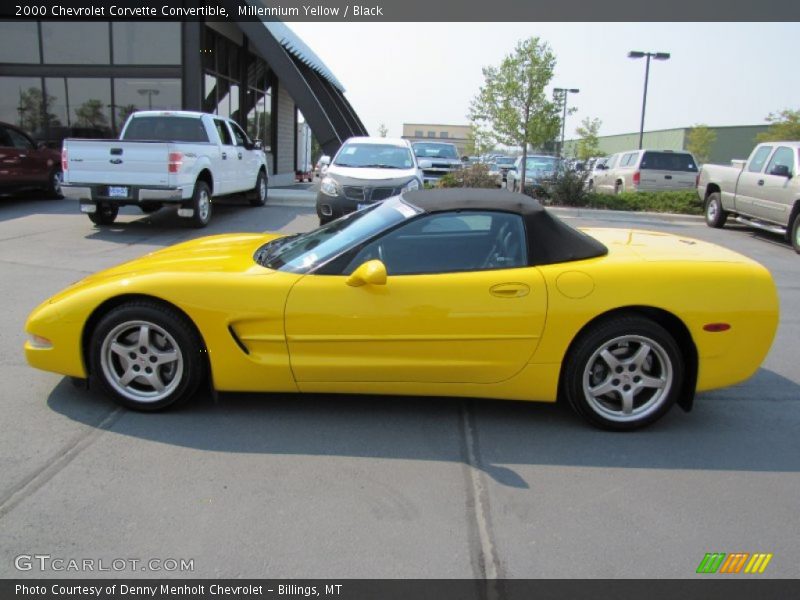 Millennium Yellow / Black 2000 Chevrolet Corvette Convertible
