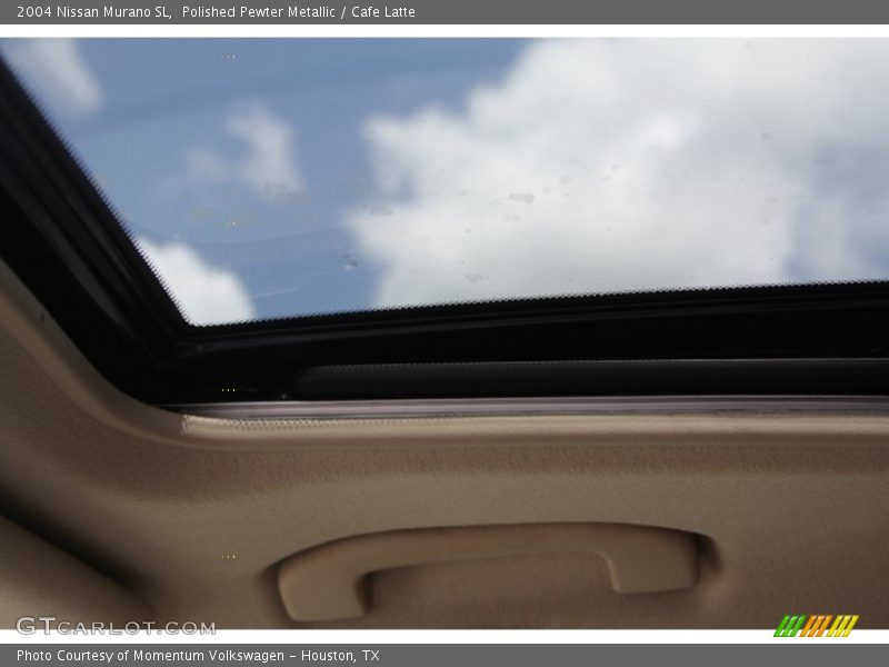Polished Pewter Metallic / Cafe Latte 2004 Nissan Murano SL