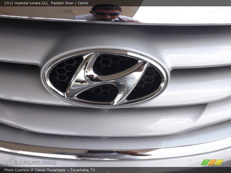 Radiant Silver / Camel 2012 Hyundai Sonata GLS
