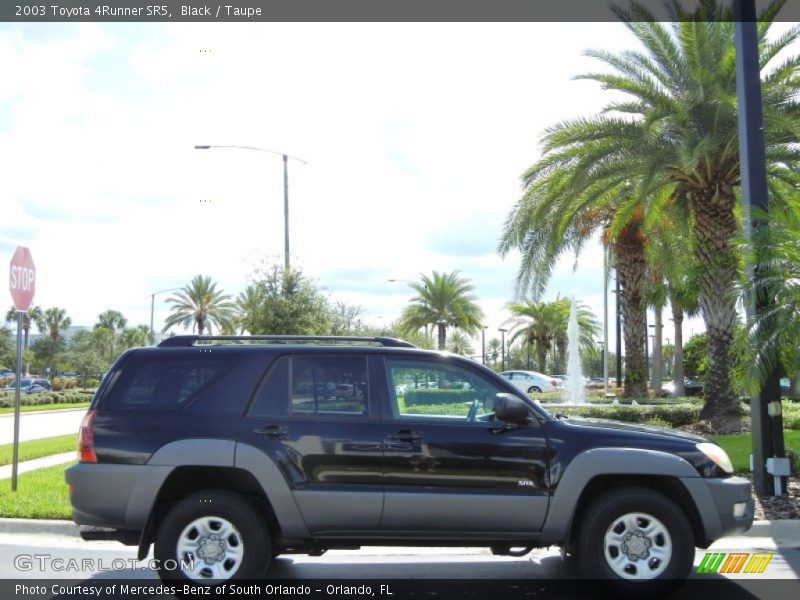 Black / Taupe 2003 Toyota 4Runner SR5