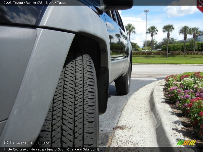 Black / Taupe 2003 Toyota 4Runner SR5