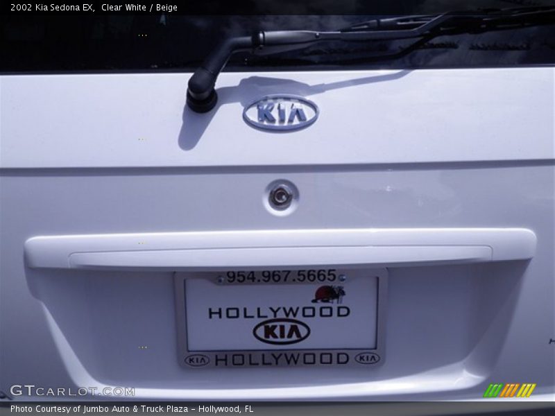 Clear White / Beige 2002 Kia Sedona EX