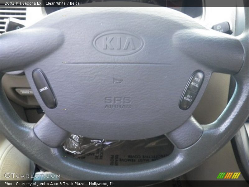 Clear White / Beige 2002 Kia Sedona EX