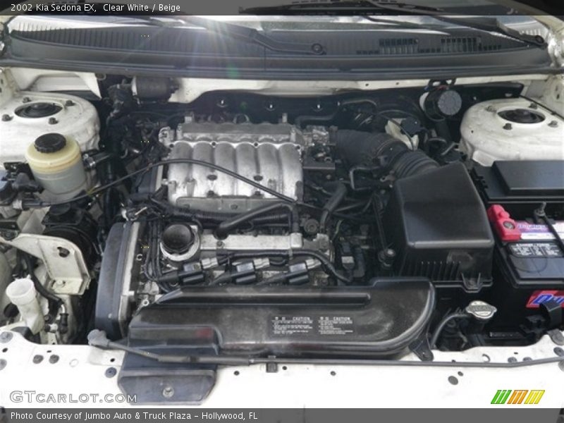 Clear White / Beige 2002 Kia Sedona EX