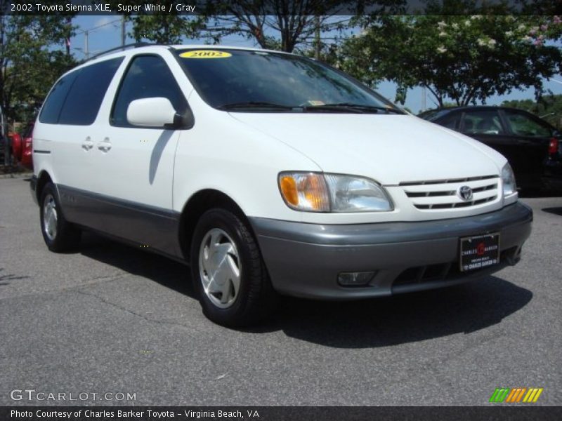 Super White / Gray 2002 Toyota Sienna XLE