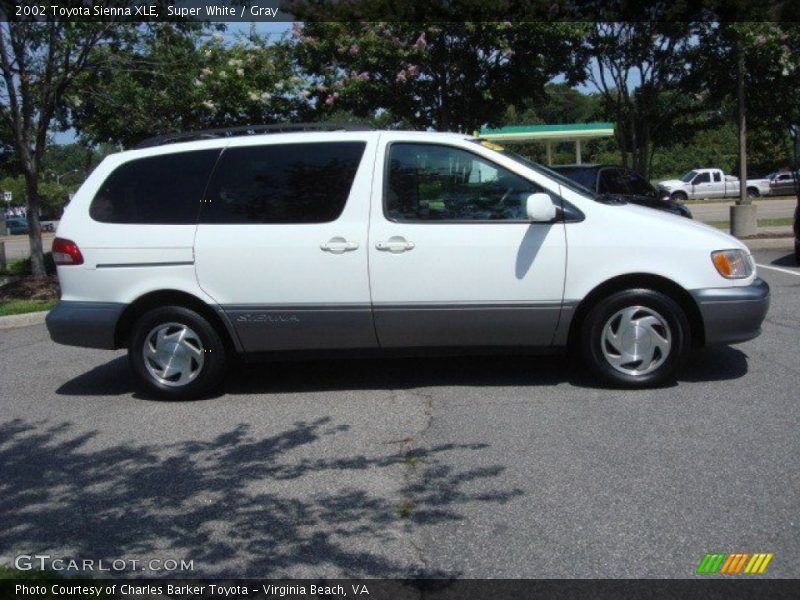 Super White / Gray 2002 Toyota Sienna XLE