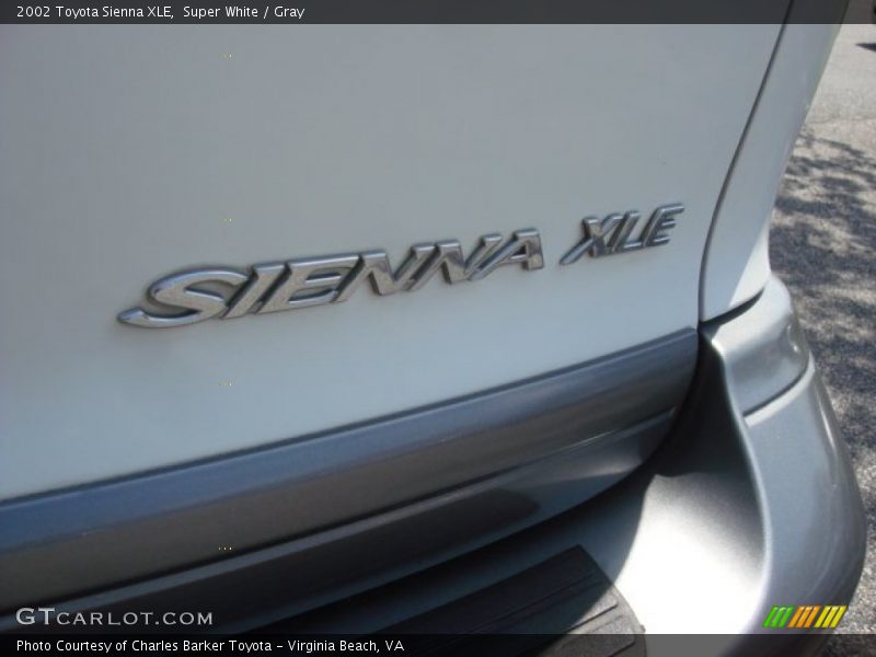 Super White / Gray 2002 Toyota Sienna XLE