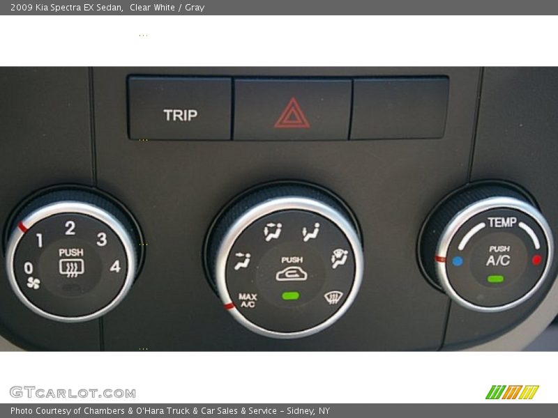 Clear White / Gray 2009 Kia Spectra EX Sedan