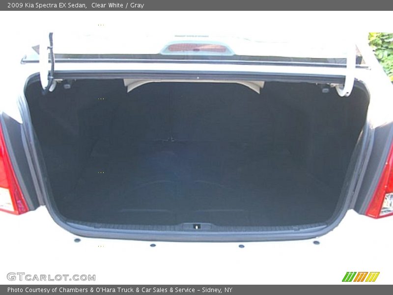 Clear White / Gray 2009 Kia Spectra EX Sedan