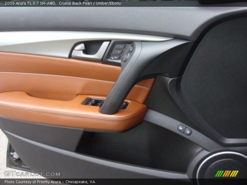 Door Panel of 2009 TL 3.7 SH-AWD