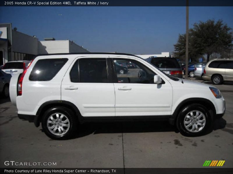 Taffeta White / Ivory 2005 Honda CR-V Special Edition 4WD