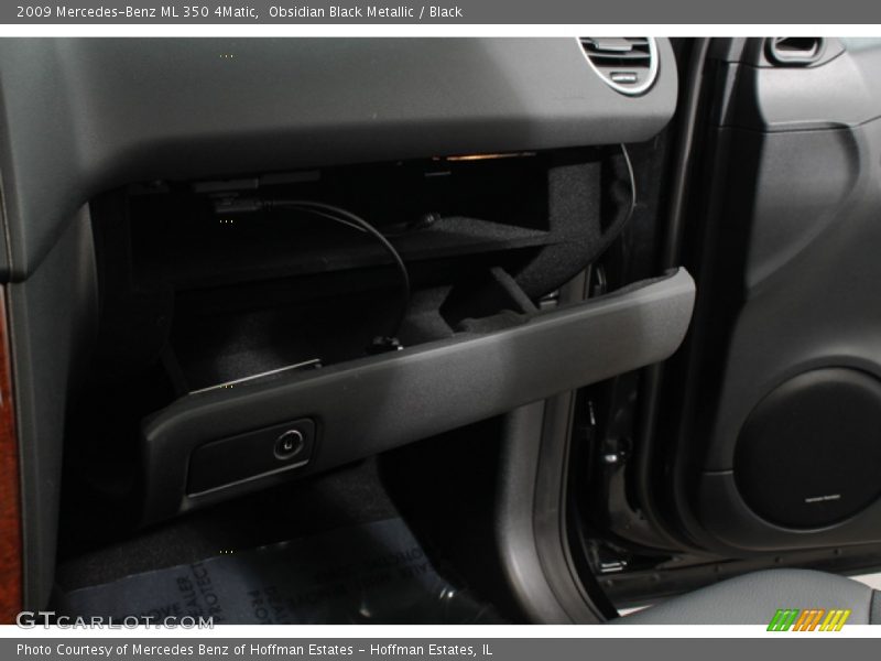 Obsidian Black Metallic / Black 2009 Mercedes-Benz ML 350 4Matic