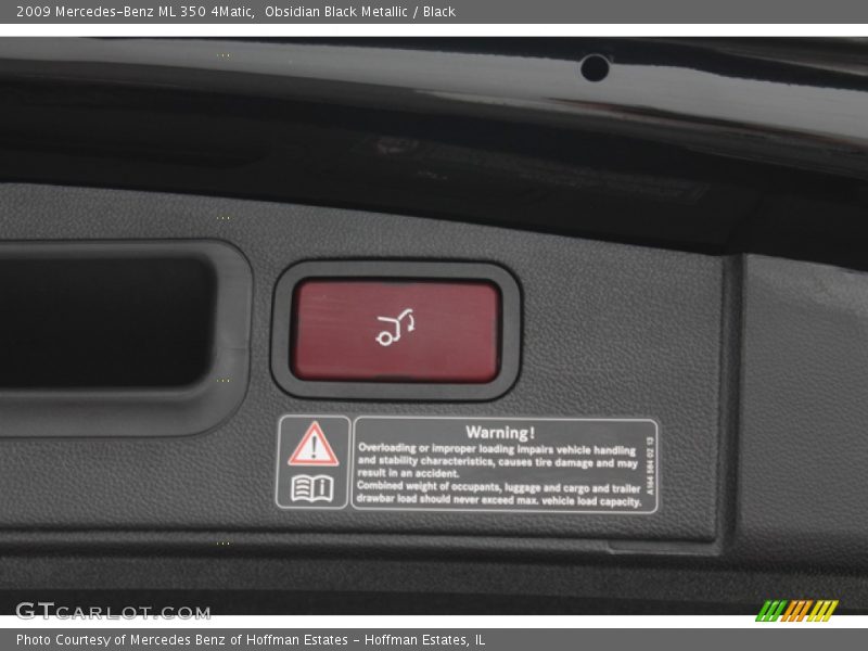 Obsidian Black Metallic / Black 2009 Mercedes-Benz ML 350 4Matic