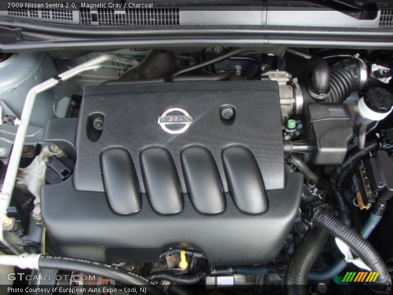 Magnetic Gray / Charcoal 2009 Nissan Sentra 2.0