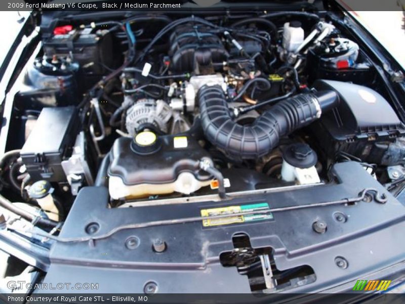 Black / Medium Parchment 2009 Ford Mustang V6 Coupe