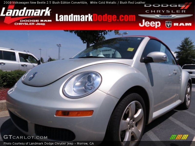 White Gold Metallic / Blush Red Leather 2009 Volkswagen New Beetle 2.5 Blush Edition Convertible