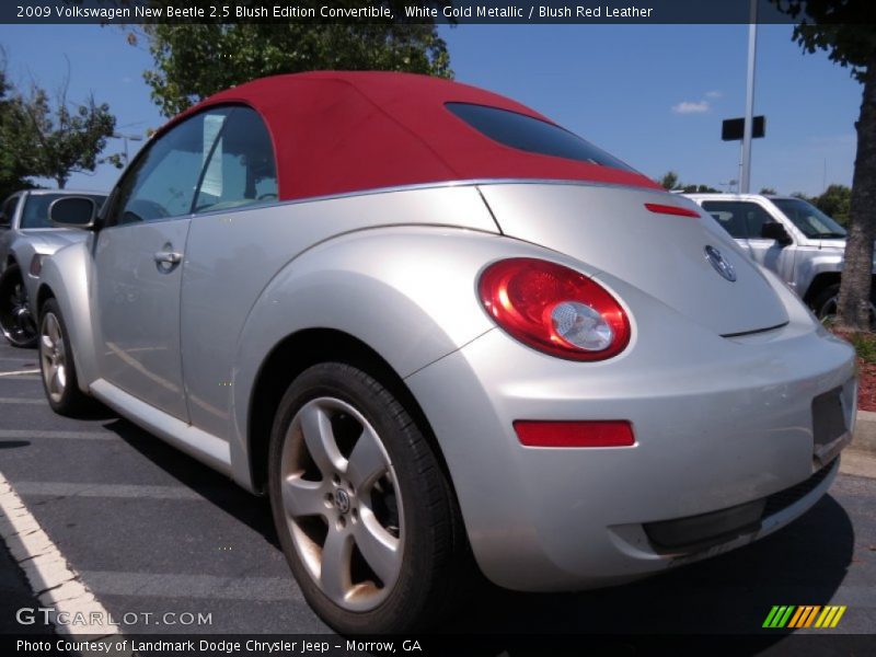 White Gold Metallic / Blush Red Leather 2009 Volkswagen New Beetle 2.5 Blush Edition Convertible