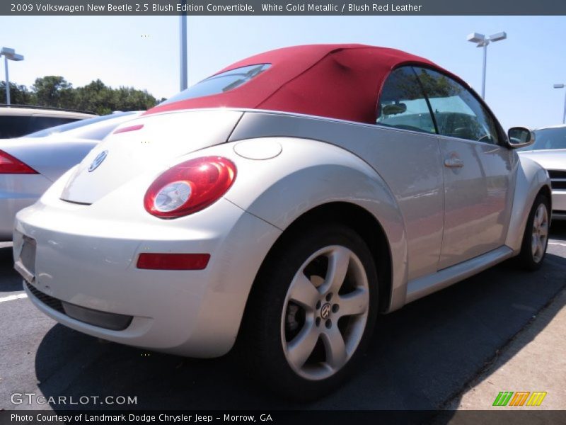 White Gold Metallic / Blush Red Leather 2009 Volkswagen New Beetle 2.5 Blush Edition Convertible