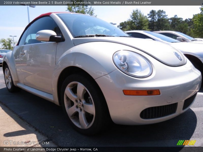 White Gold Metallic / Blush Red Leather 2009 Volkswagen New Beetle 2.5 Blush Edition Convertible