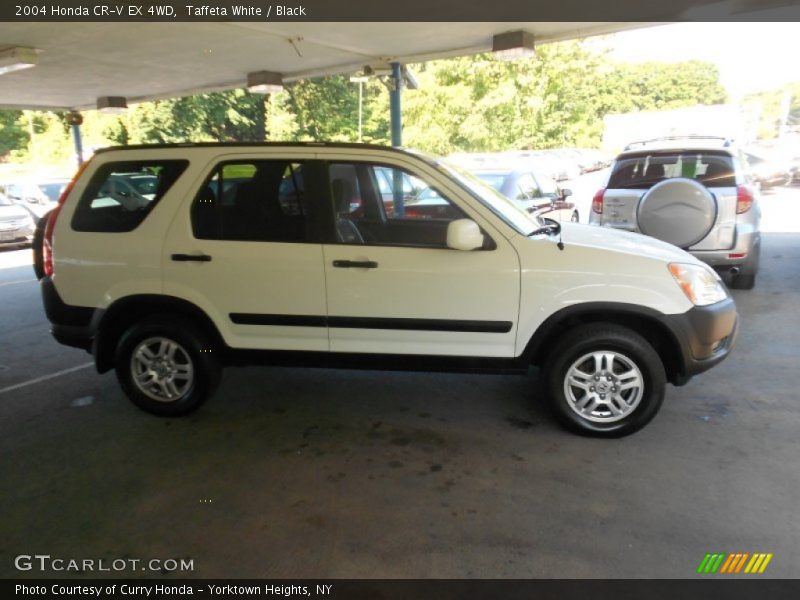 Taffeta White / Black 2004 Honda CR-V EX 4WD