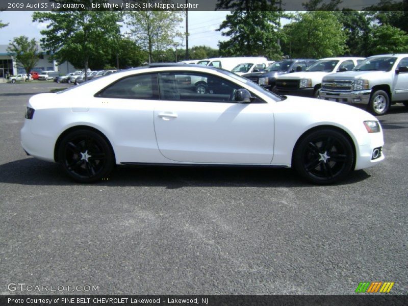 Ibis White / Black Silk Nappa Leather 2009 Audi S5 4.2 quattro
